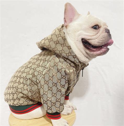 gucci dog clothes wholesale|gucci dog raincoat.